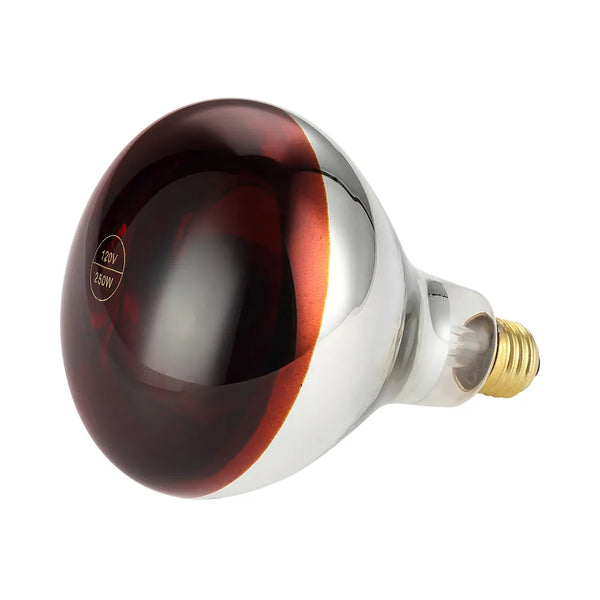 CAC China ELHL-1RD Bulb Red for ELHL-1 Each